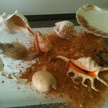 No Vehicle !s Superbe T3 150mer Piscin Wifi Clim Apartment *